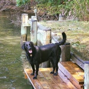 Meet your Posher, Debbie